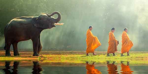 Buddhist Monks in Phuket, Thailand